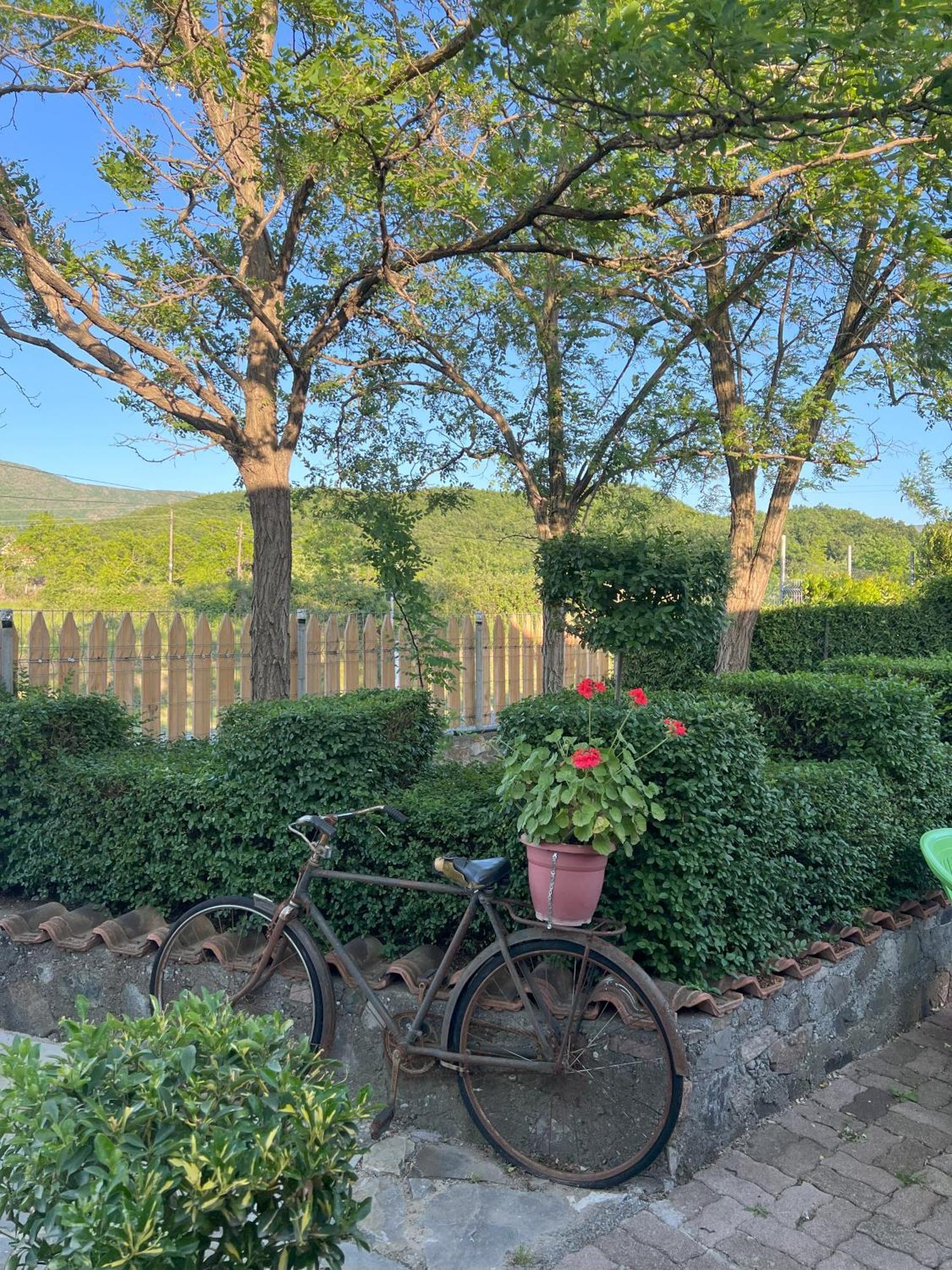 Guesthouse Koleci - Mrizi I Zanave Fishte Dış mekan fotoğraf