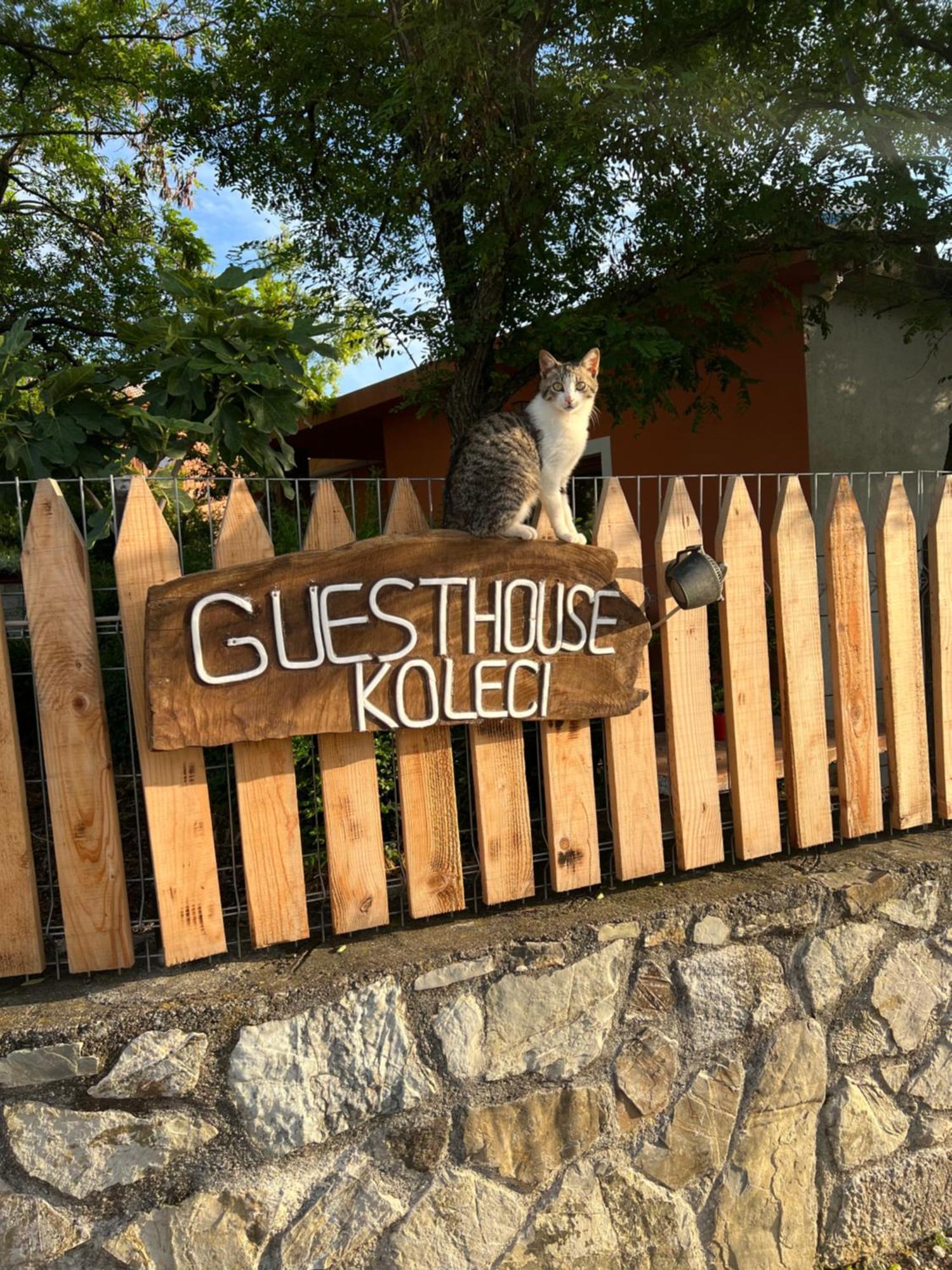 Guesthouse Koleci - Mrizi I Zanave Fishte Dış mekan fotoğraf